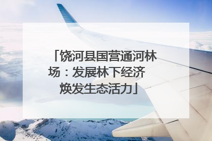 饶河县国营通河林场：发展林下经济 焕发生态活力