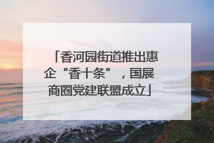 香河园街道推出惠企“香十条”，国展商圈党建联盟成立