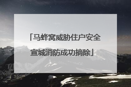 马蜂窝威胁住户安全 宣城消防成功摘除