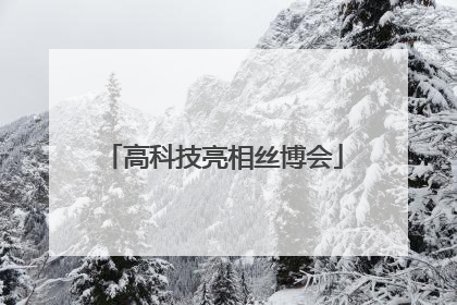 高科技亮相丝博会