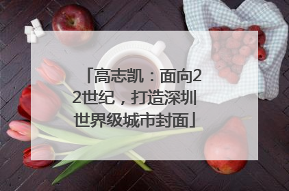 高志凯：面向22世纪，打造深圳世界级城市封面