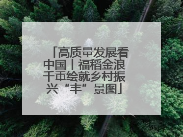 高质量发展看中国丨福稻金浪千重绘就乡村振兴“丰”景图
