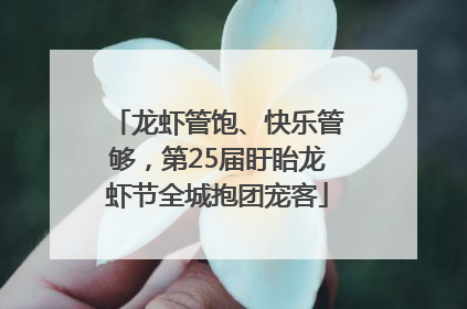 龙虾管饱、快乐管够，第25届盱眙龙虾节全城抱团宠客