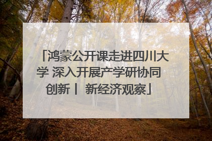 鸿蒙公开课走进四川大学 深入开展产学研协同创新丨 新经济观察