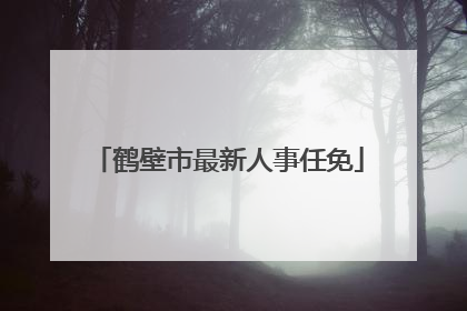 鹤壁市最新人事任免