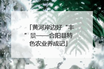 黄河岸边好“丰”景——合阳县特色农业养成记