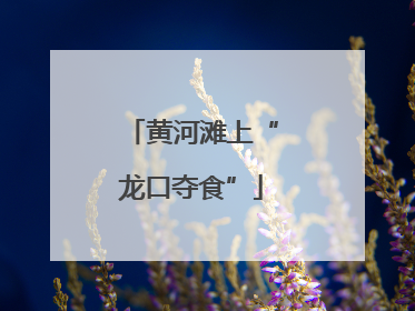 黄河滩上“龙口夺食”