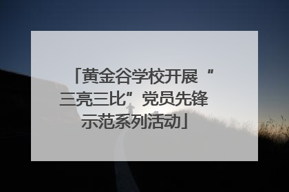 黄金谷学校开展“三亮三比”党员先锋示范系列活动
