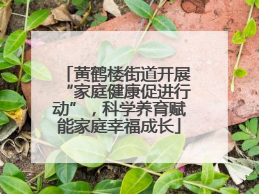 黄鹤楼街道开展“家庭健康促进行动”，科学养育赋能家庭幸福成长