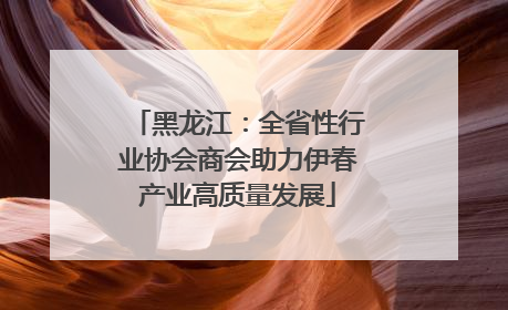 黑龙江：全省性行业协会商会助力伊春产业高质量发展