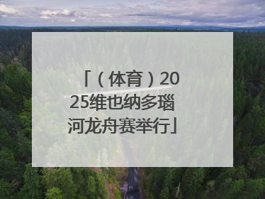 （体育）2025维也纳多瑙河龙舟赛举行
