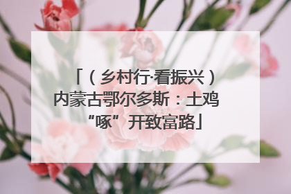 （乡村行·看振兴）内蒙古鄂尔多斯：土鸡“啄”开致富路