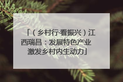 （乡村行·看振兴）江西瑞昌：发展特色产业 激发乡村内生动力