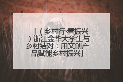 （乡村行·看振兴）浙江金华大学生与乡村结对：用文创产品赋能乡村振兴
