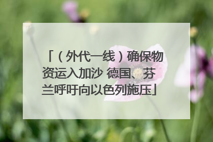 （外代一线）确保物资运入加沙 德国、芬兰呼吁向以色列施压