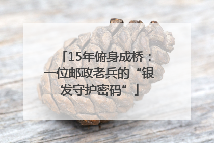 15年俯身成桥：一位邮政老兵的“银发守护密码”