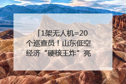 1架无人机=20个巡查员！山东低空经济“硬核王炸”亮相青岛，下一个万亿赛道藏在这里