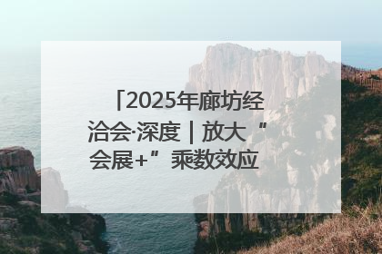 2025年廊坊经洽会·深度｜放大“会展+”乘数效应 打造消费新场景