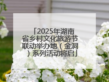 2025年湖南省乡村文化旅游节联动举办地（金洞）系列活动将启