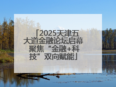 2025天津五大道金融论坛启幕 聚焦“金融+科技”双向赋能