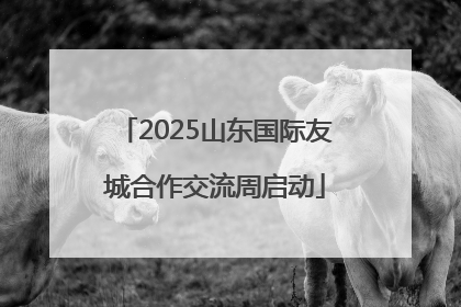 2025山东国际友城合作交流周启动