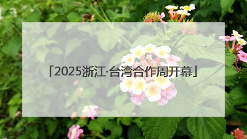 2025浙江·台湾合作周开幕