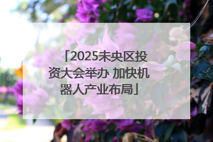2025未央区投资大会举办 加快机器人产业布局