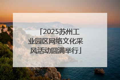 2025苏州工业园区网络文化采风活动圆满举行