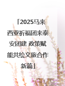 2025马来西亚祈福团来泰安团建 政策赋能共绘文旅合作新篇