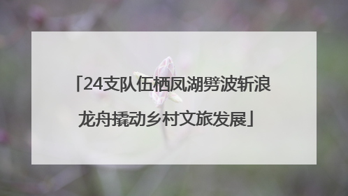 24支队伍栖凤湖劈波斩浪 龙舟撬动乡村文旅发展