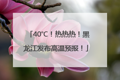 40℃！热热热！黑龙江发布高温预报！