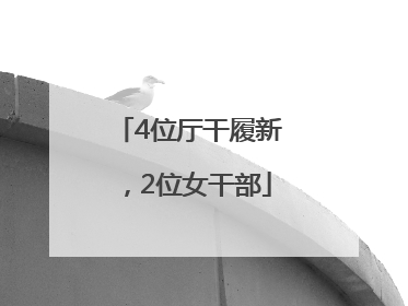 4位厅干履新，2位女干部
