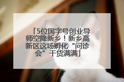 5位国字号创业导师空降新乡！新乡高新区这场孵化“问诊会”干货满满
