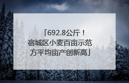 692.8公斤!宿城区小麦百亩示范方平均亩产创新高