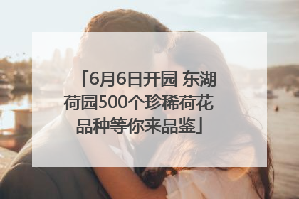 6月6日开园 东湖荷园500个珍稀荷花品种等你来品鉴