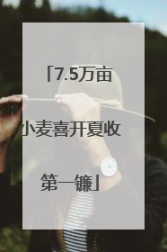 7.5万亩小麦喜开夏收第一镰