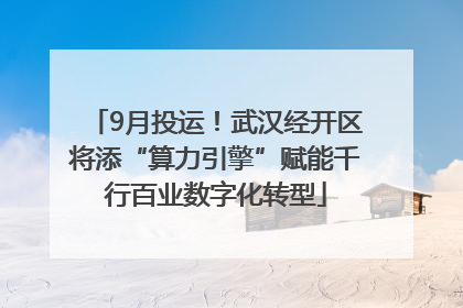 9月投运！武汉经开区将添“算力引擎”赋能千行百业数字化转型