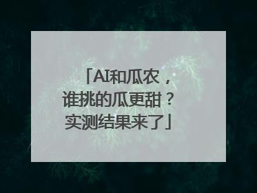 AI和瓜农，谁挑的瓜更甜？实测结果来了