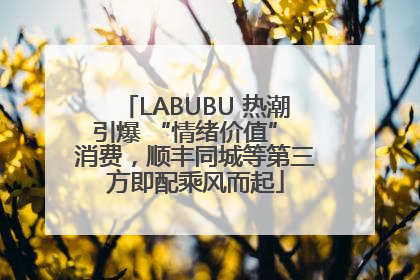 LABUBU 热潮引爆 “情绪价值” 消费，顺丰同城等第三方即配乘风而起