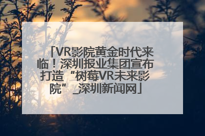 VR影院黄金时代来临！深圳报业集团宣布打造“树莓VR未来影院”_深圳新闻网